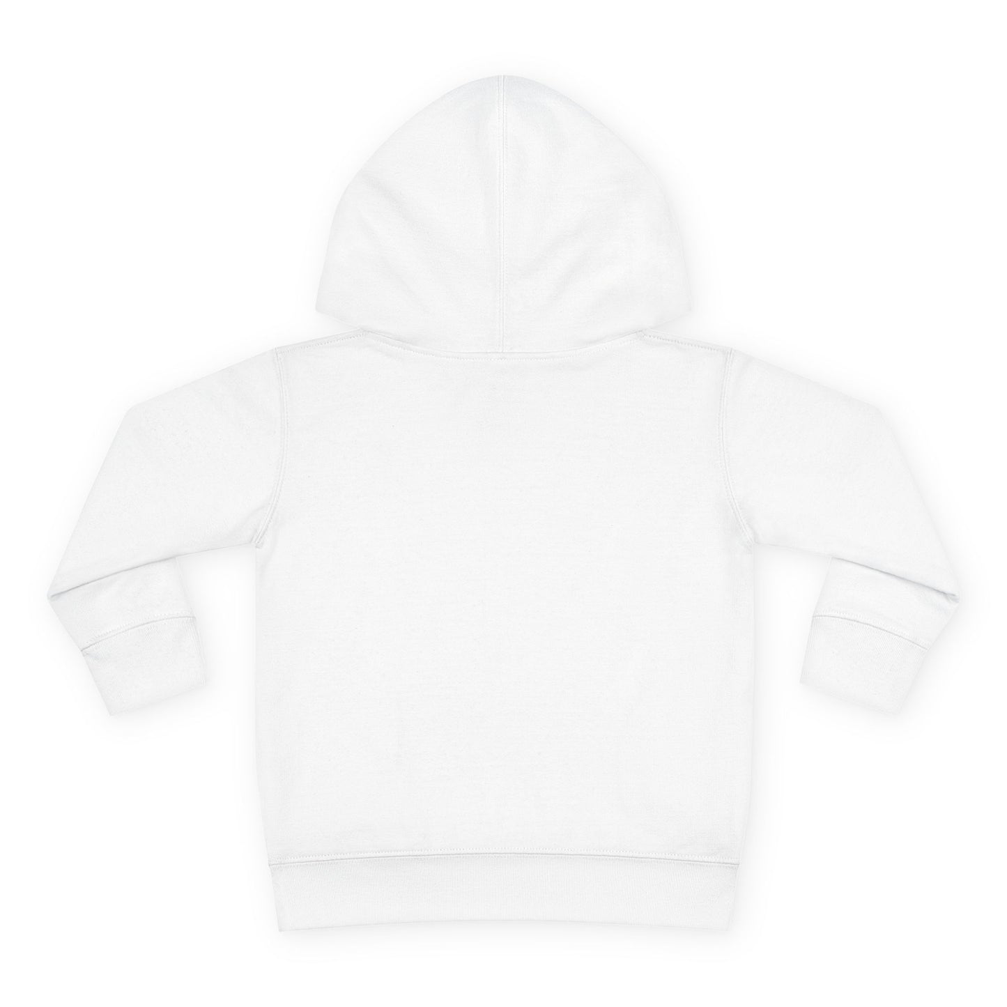 Pacifire Toddler Pullover Hoodie