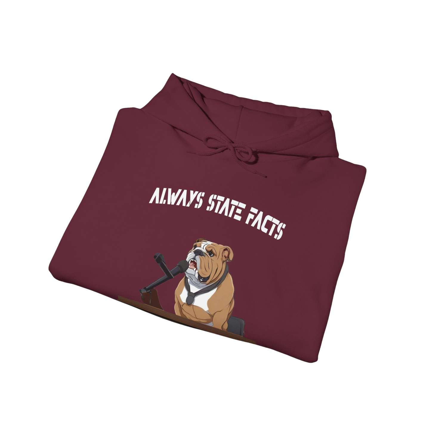 State Facts Hoodie