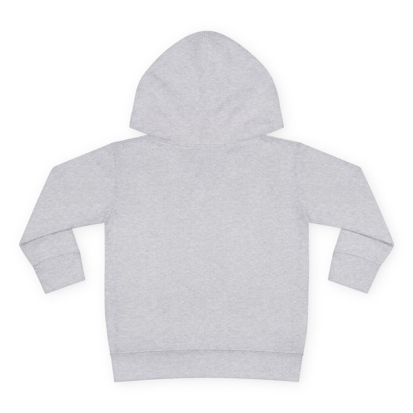 Pacifire Toddler Pullover Hoodie