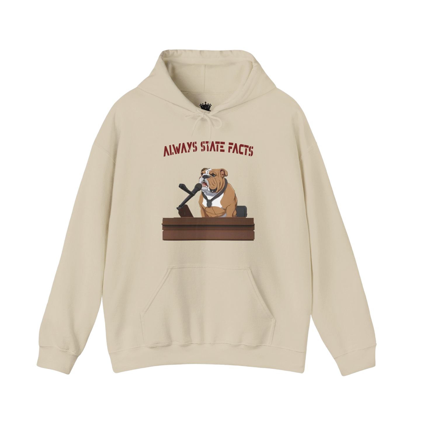 State Facts Hoodie