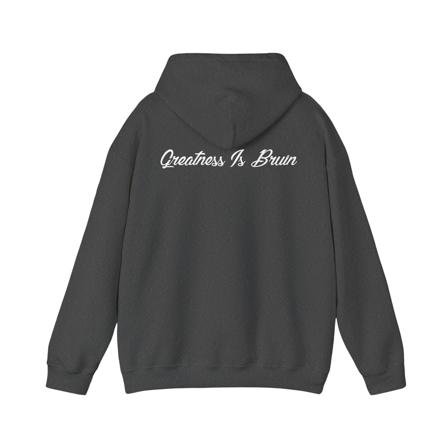 Bruin Hoodie