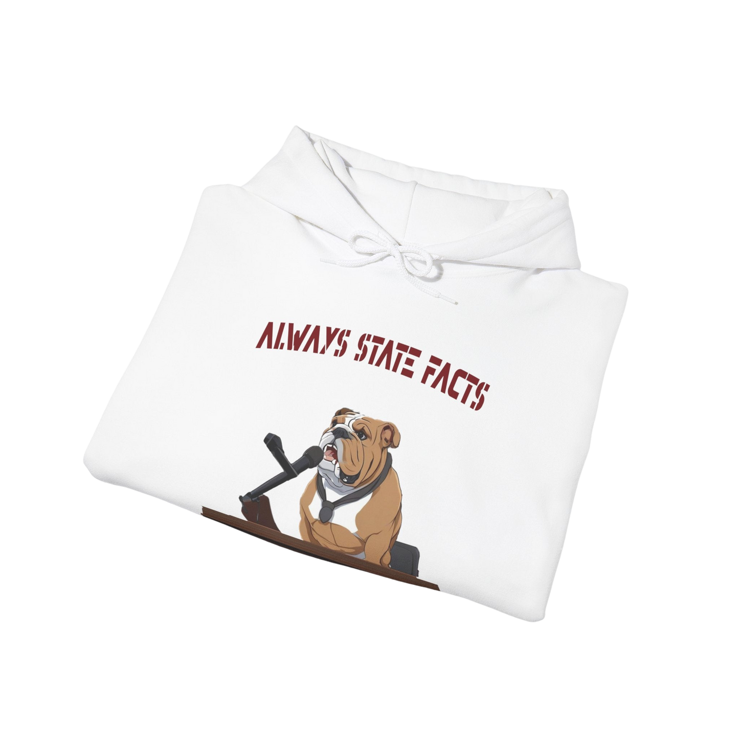 State Facts Hoodie