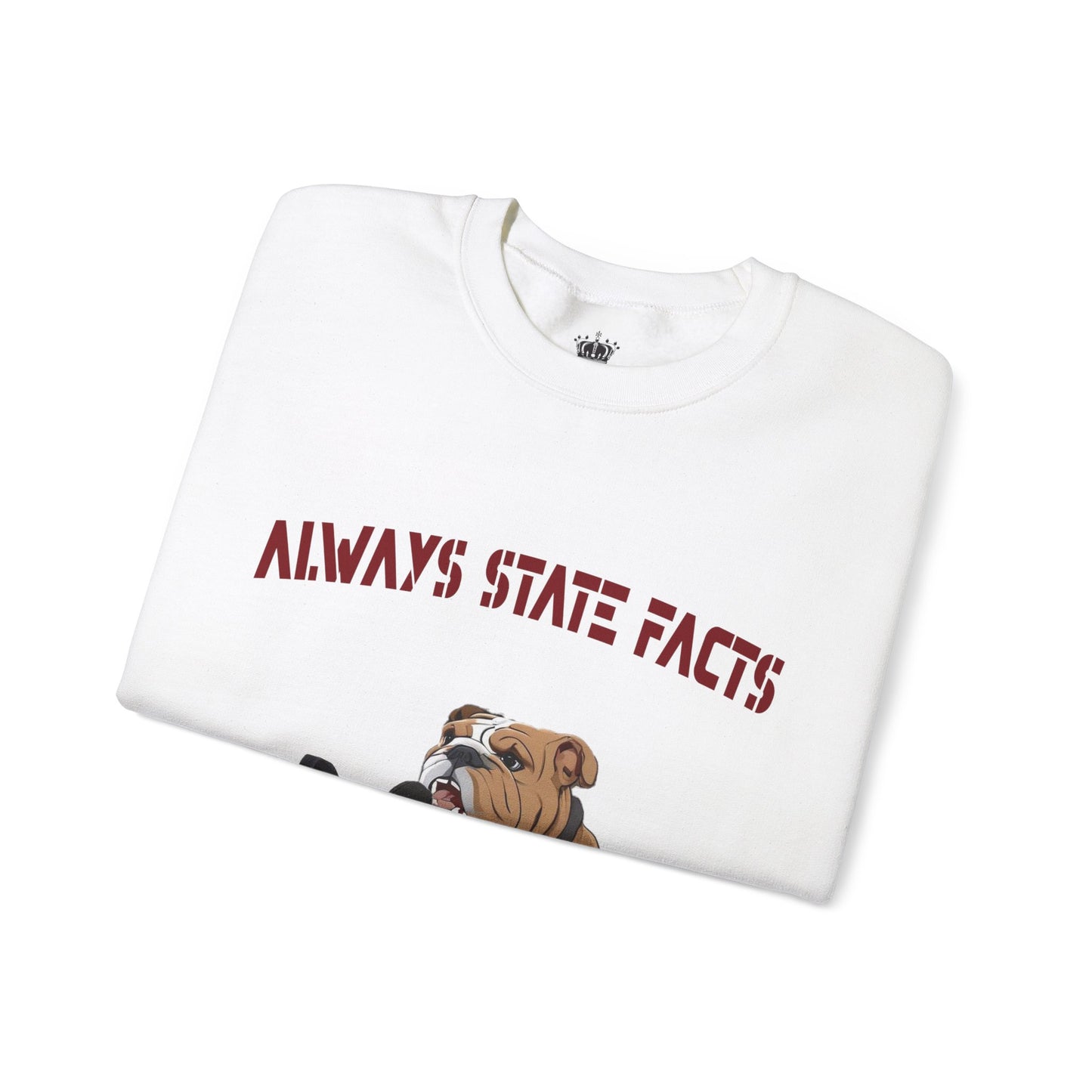 State Facts Sweatshirt