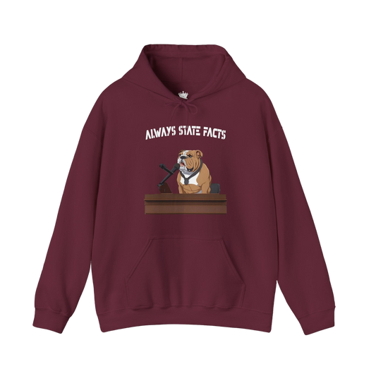 State Facts Hoodie
