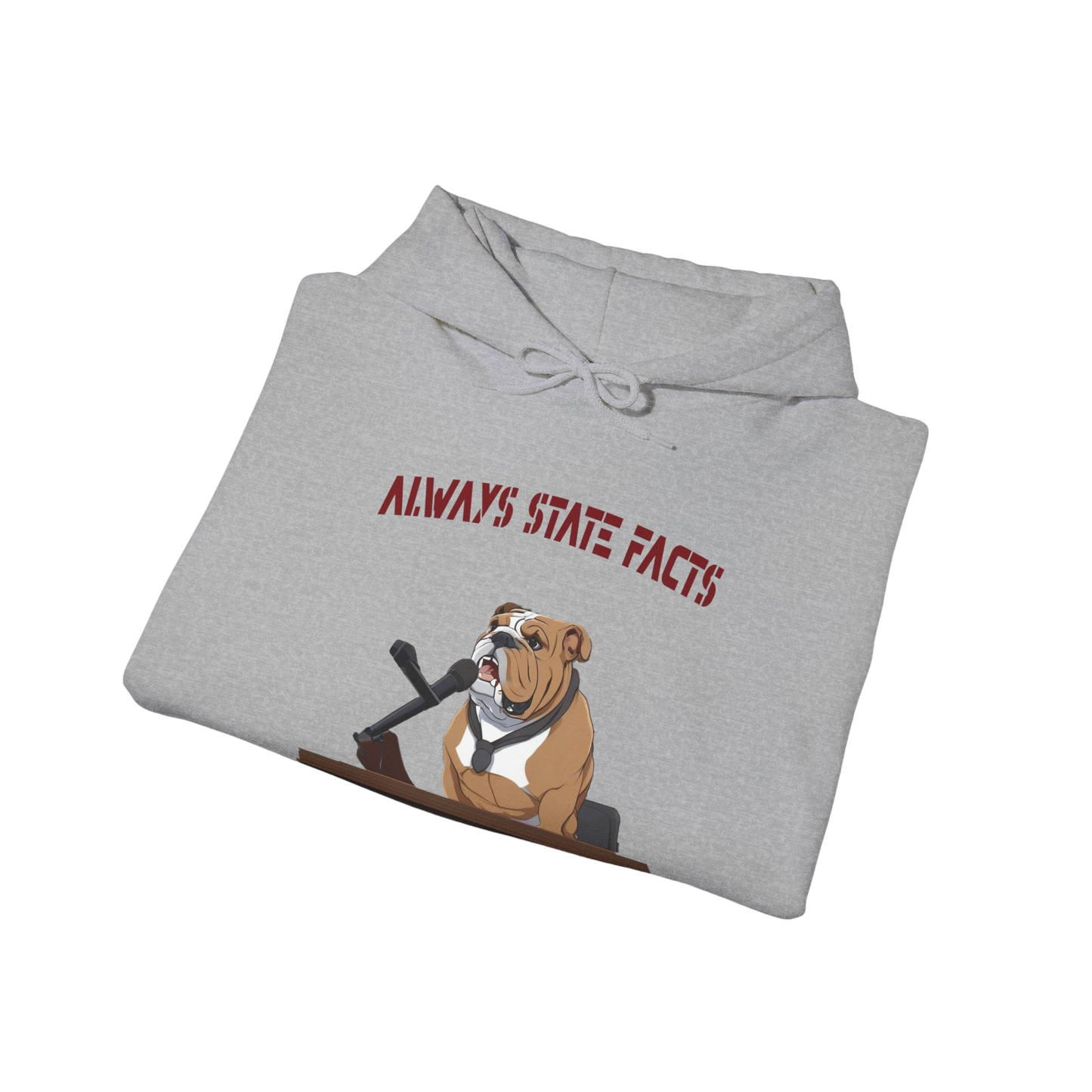 State Facts Hoodie