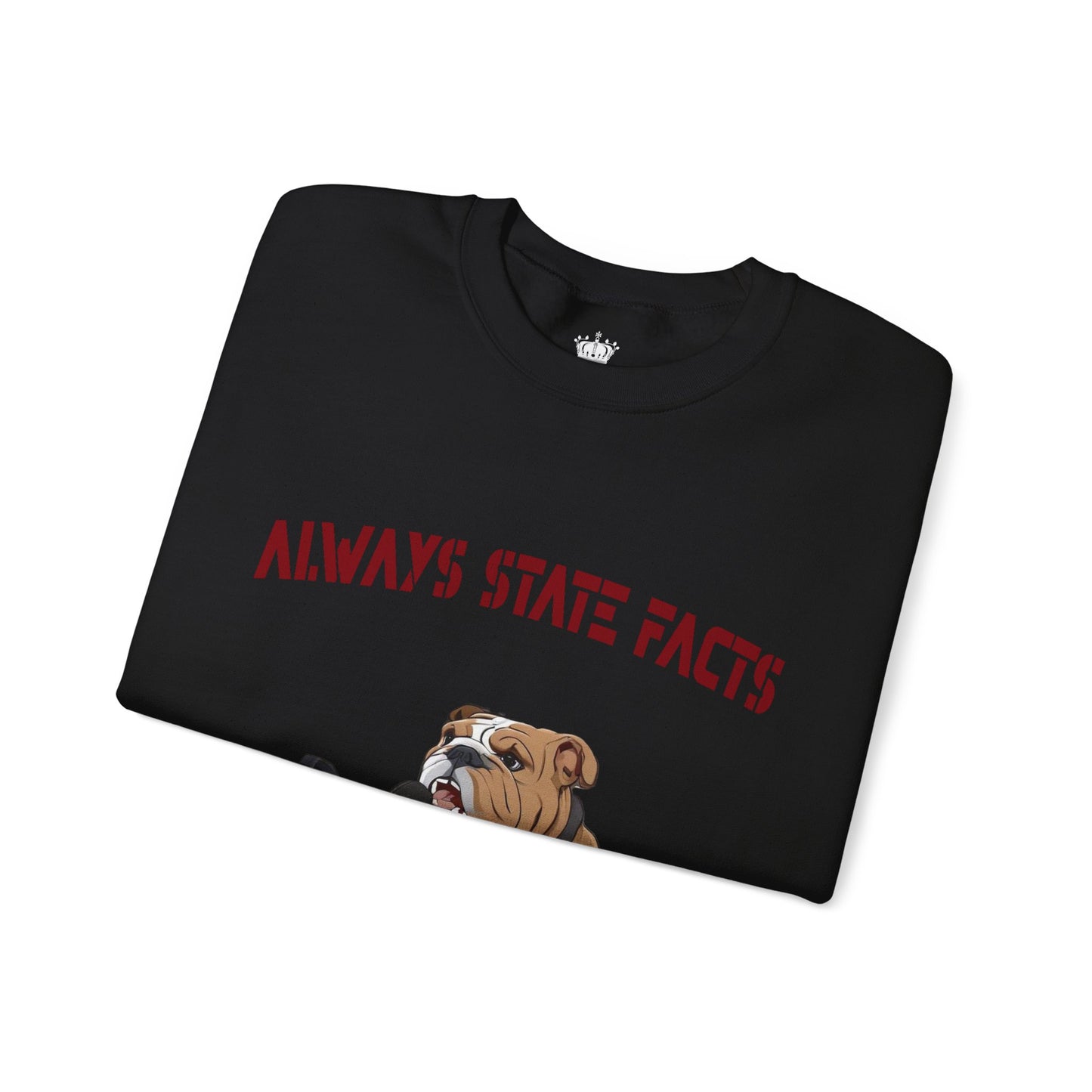 State Facts Sweatshirt