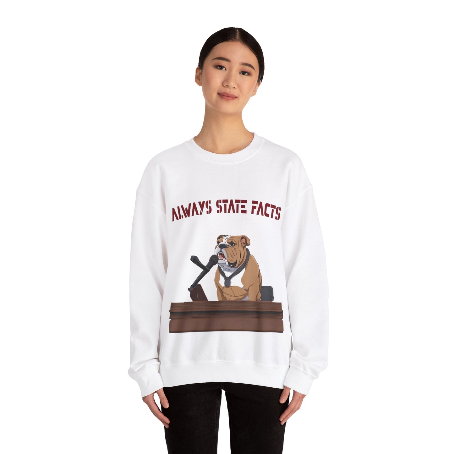 State Facts Sweatshirt