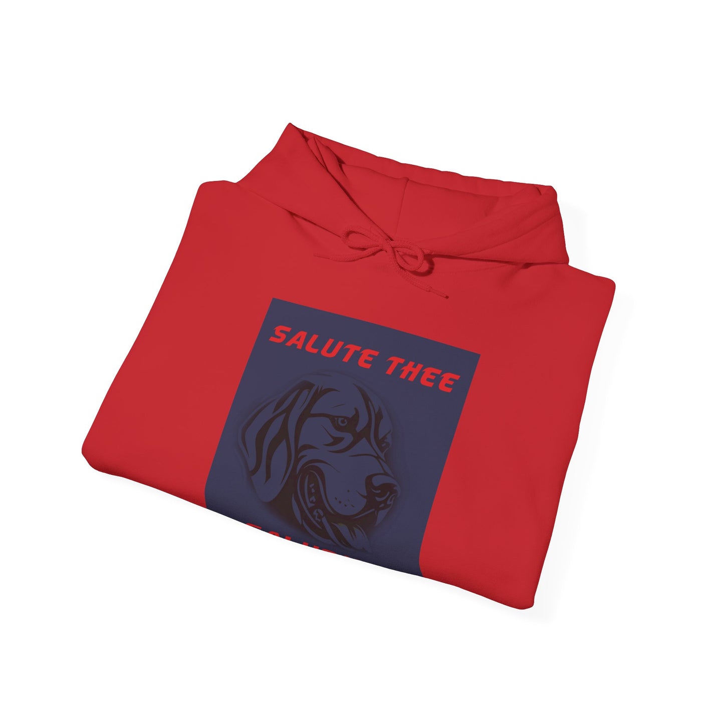 Saluqis Hoodie