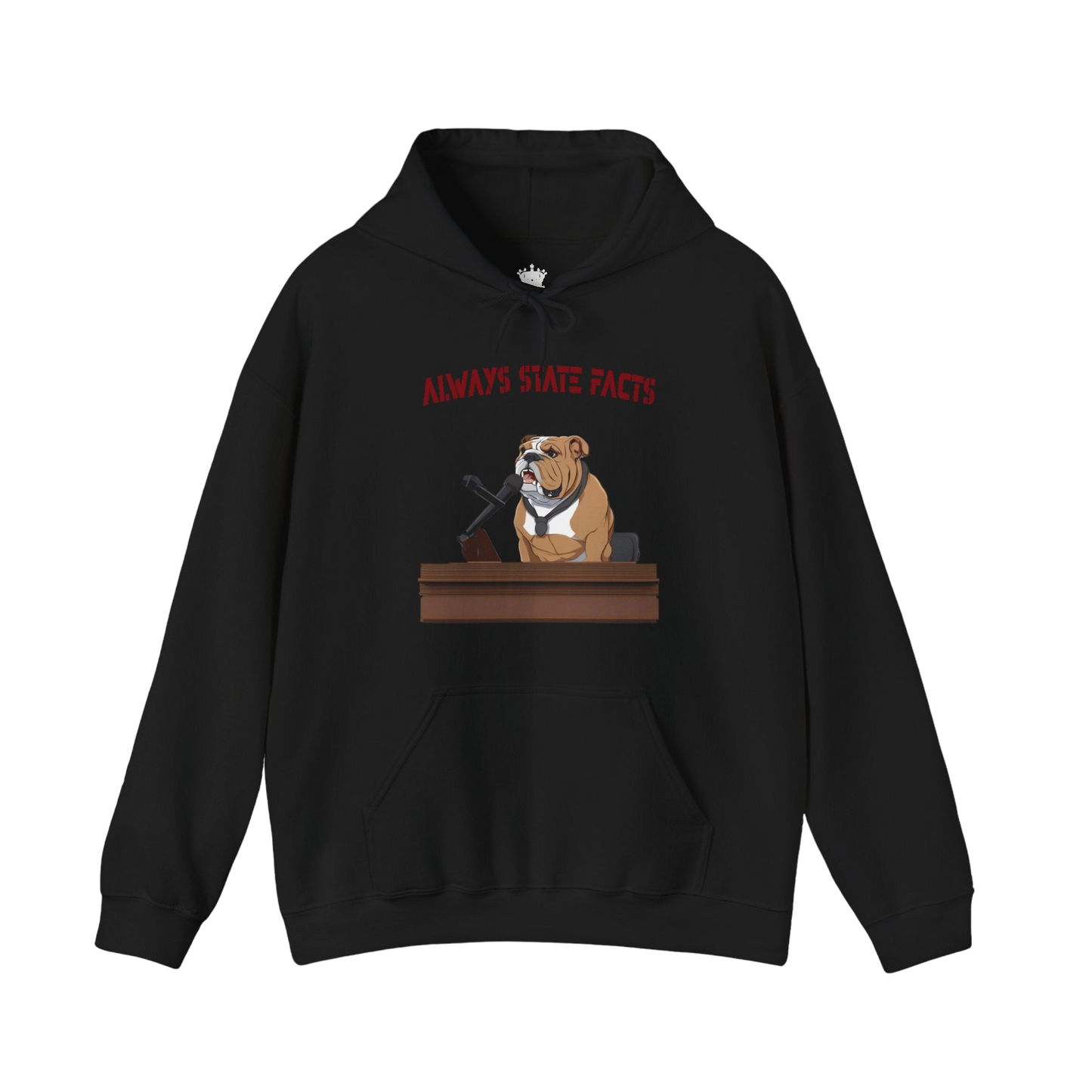 State Facts Hoodie