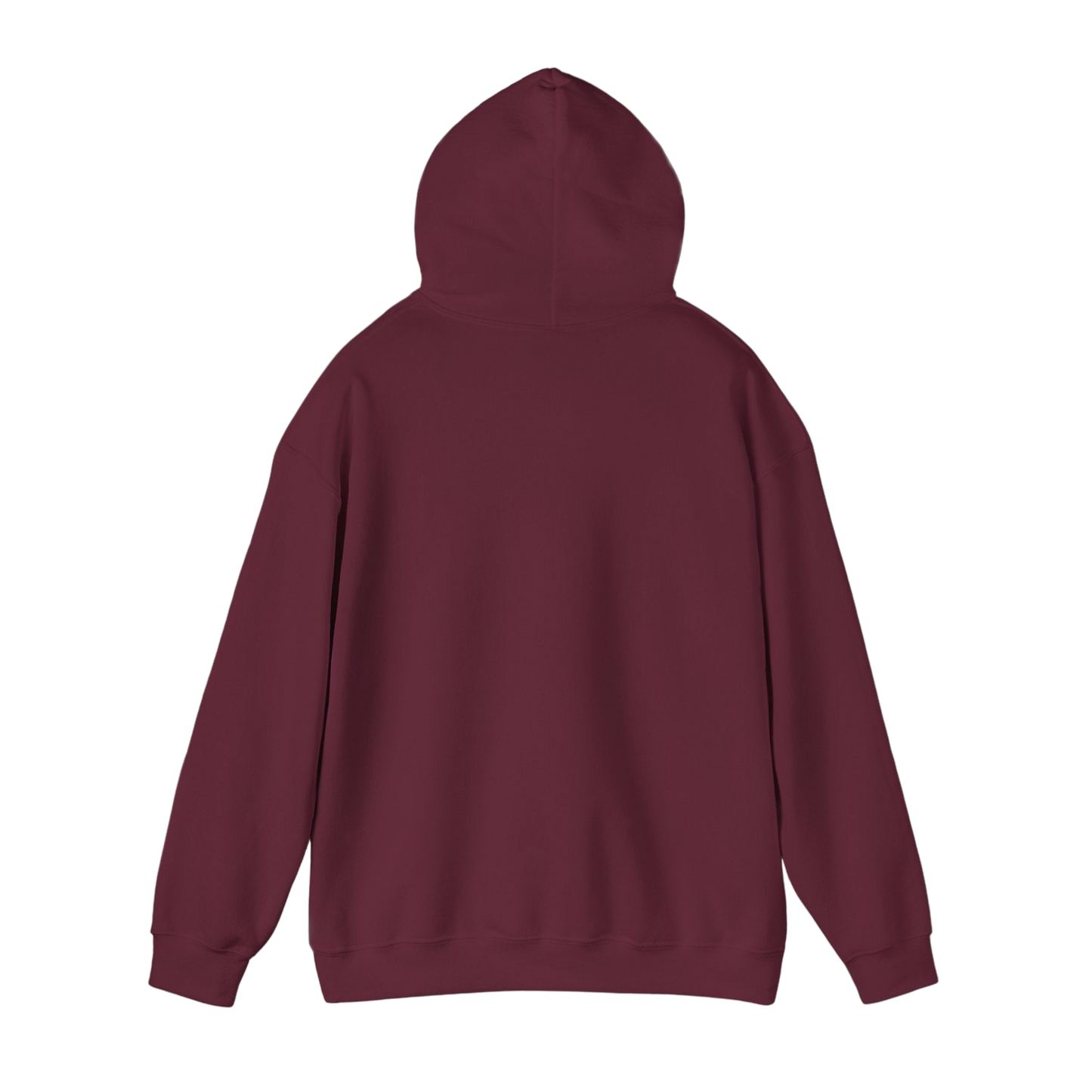 Time 2 Shine Hoodie
