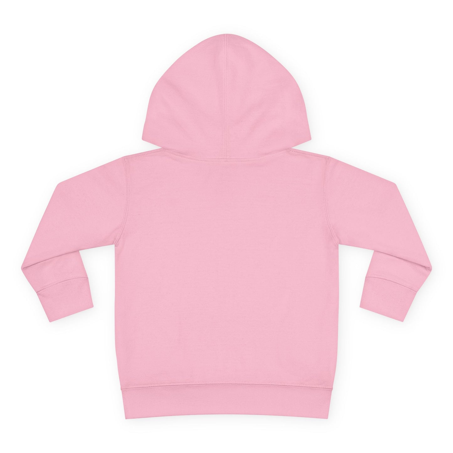 Pacifire Toddler Pullover Hoodie
