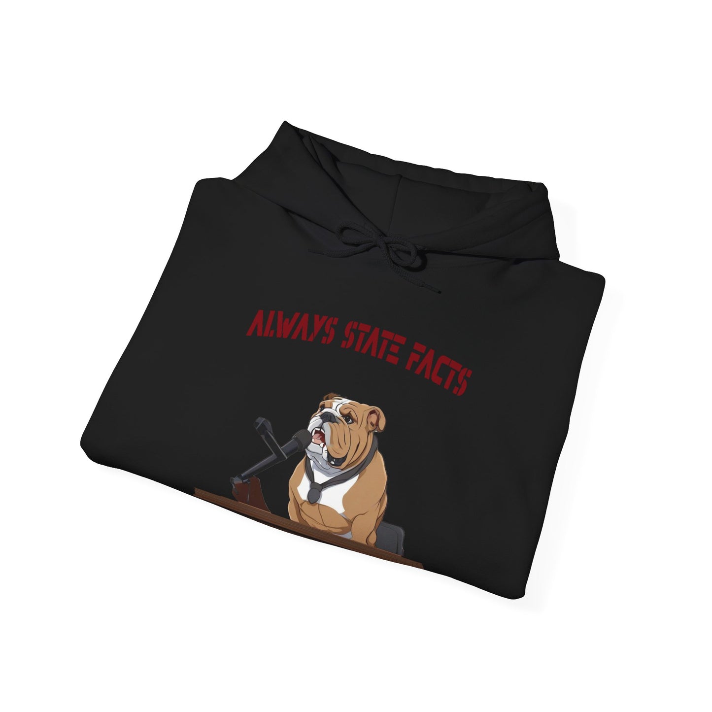 State Facts Hoodie