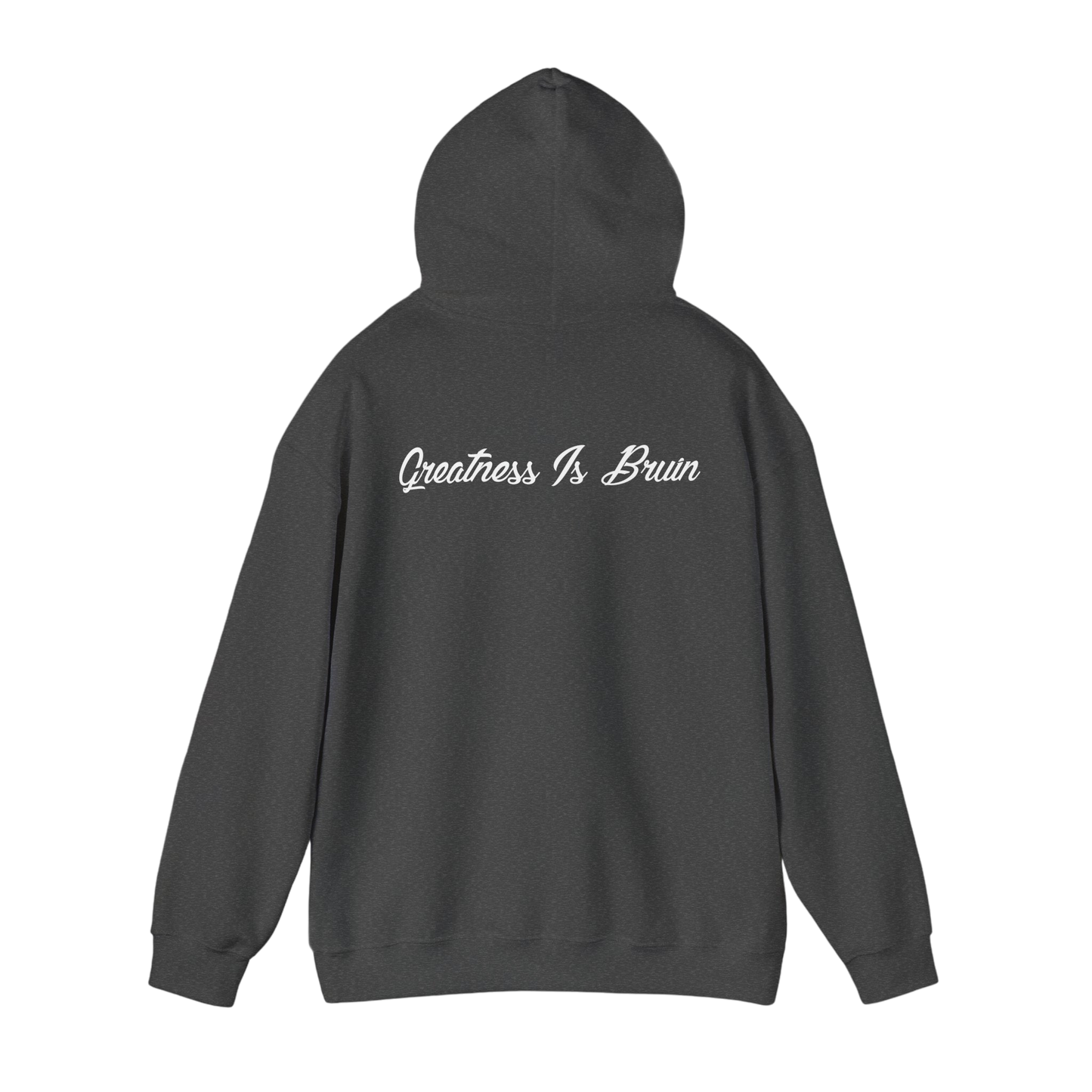 Bruin Hoodie