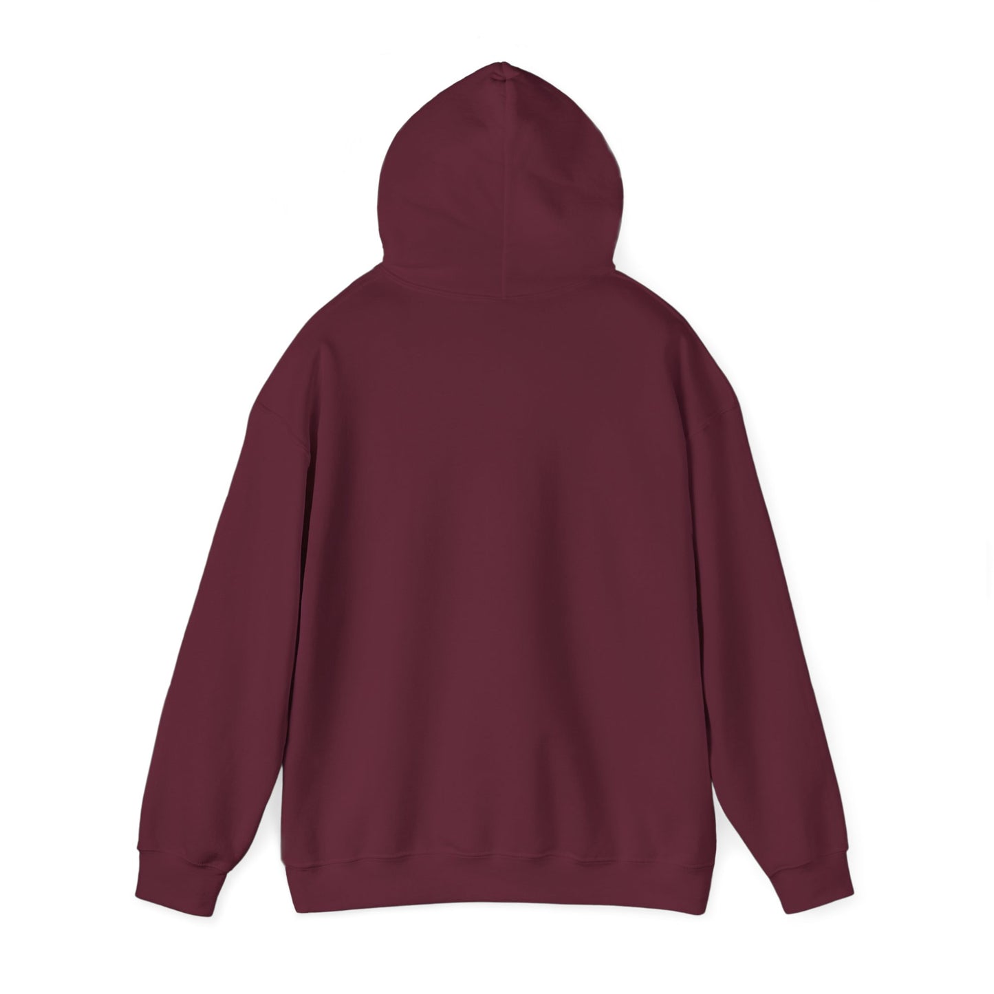 "Told Him No" Hoodie