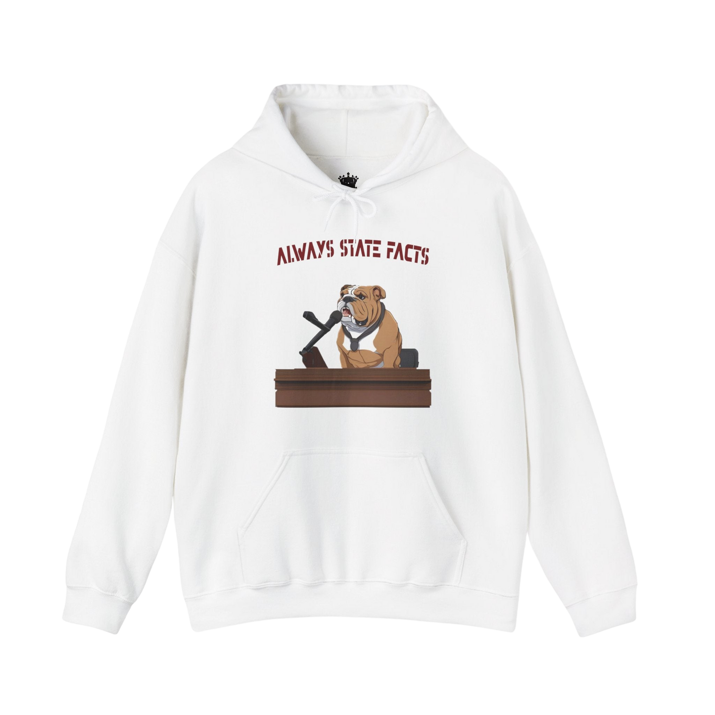 State Facts Hoodie