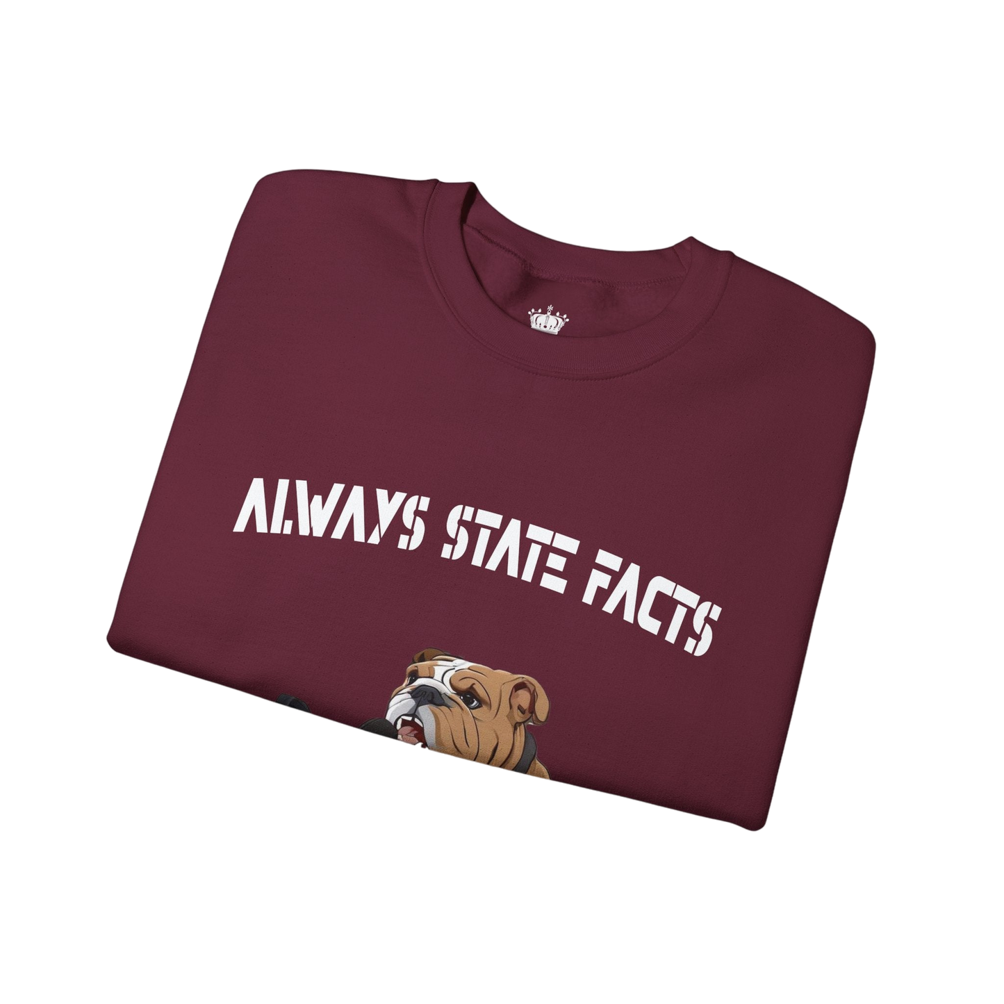 State Facts Sweatshirt