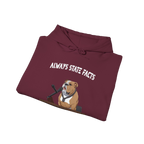 State Facts Hoodie