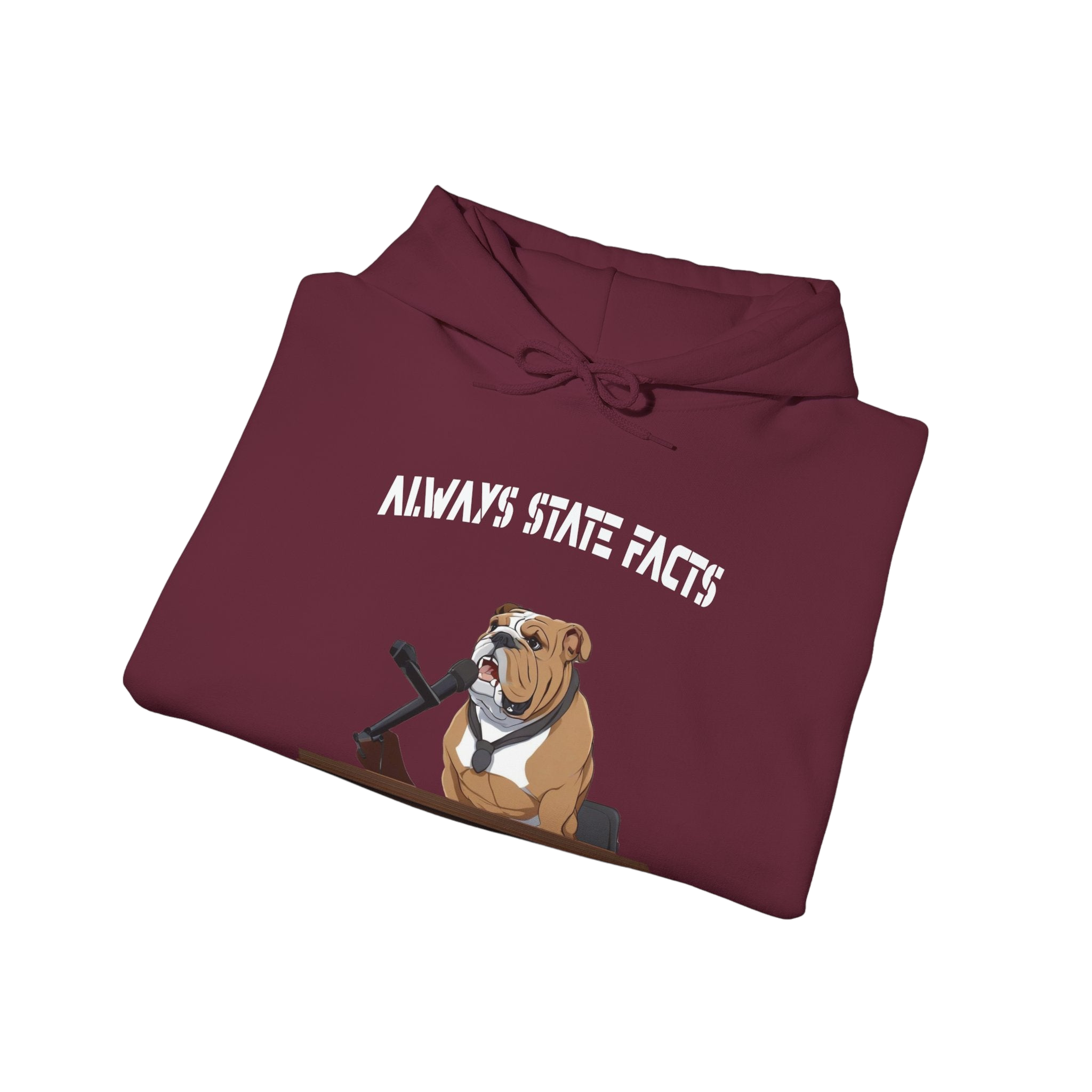 State Facts Hoodie