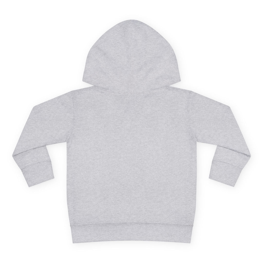 Pacifire Toddler Pullover Hoodie