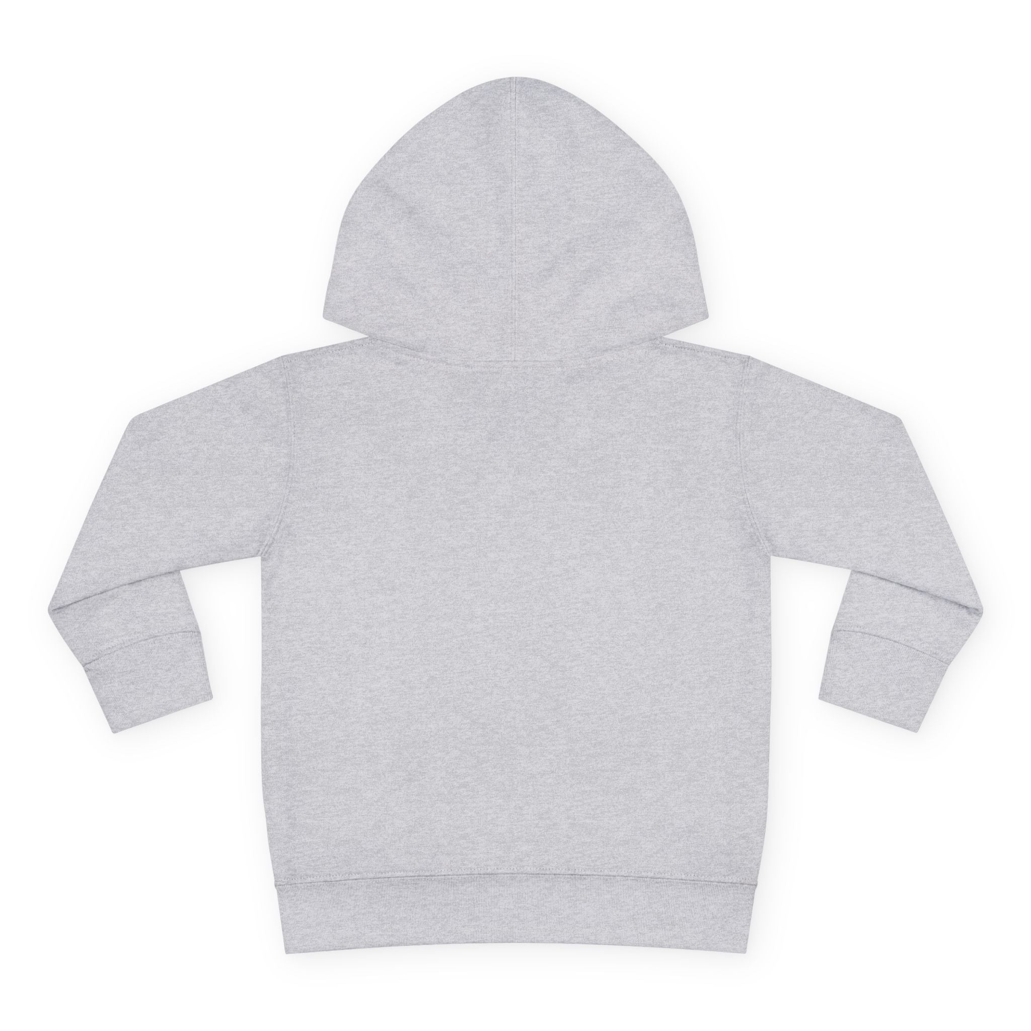 Pacifire Toddler Pullover Hoodie