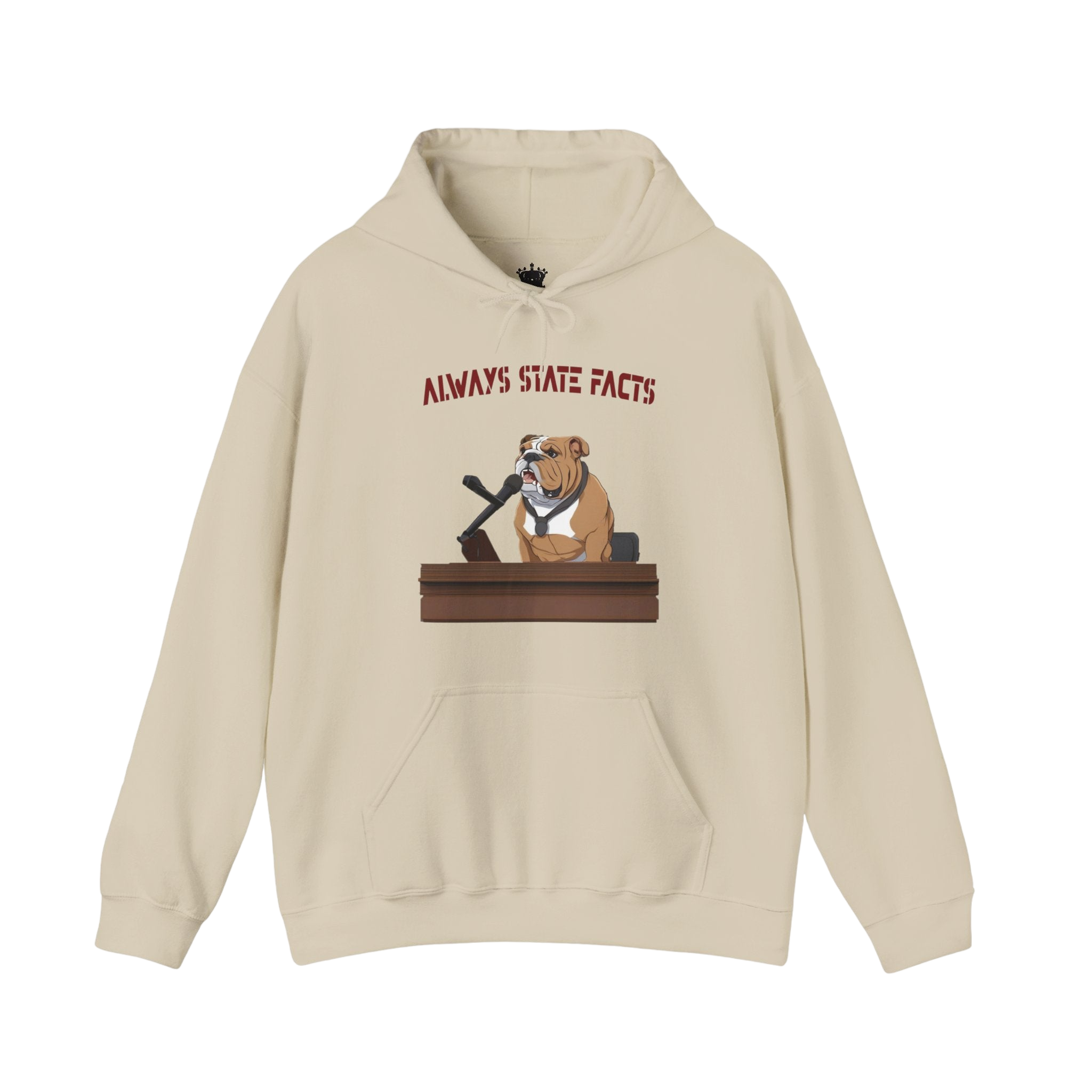 State Facts Hoodie