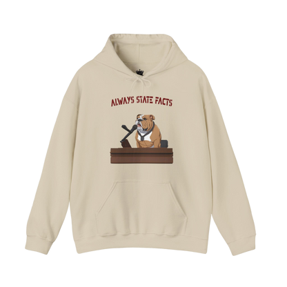 State Facts Hoodie
