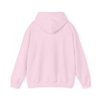 F Around Find Out Hoodie