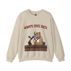 State Facts Sweatshirt