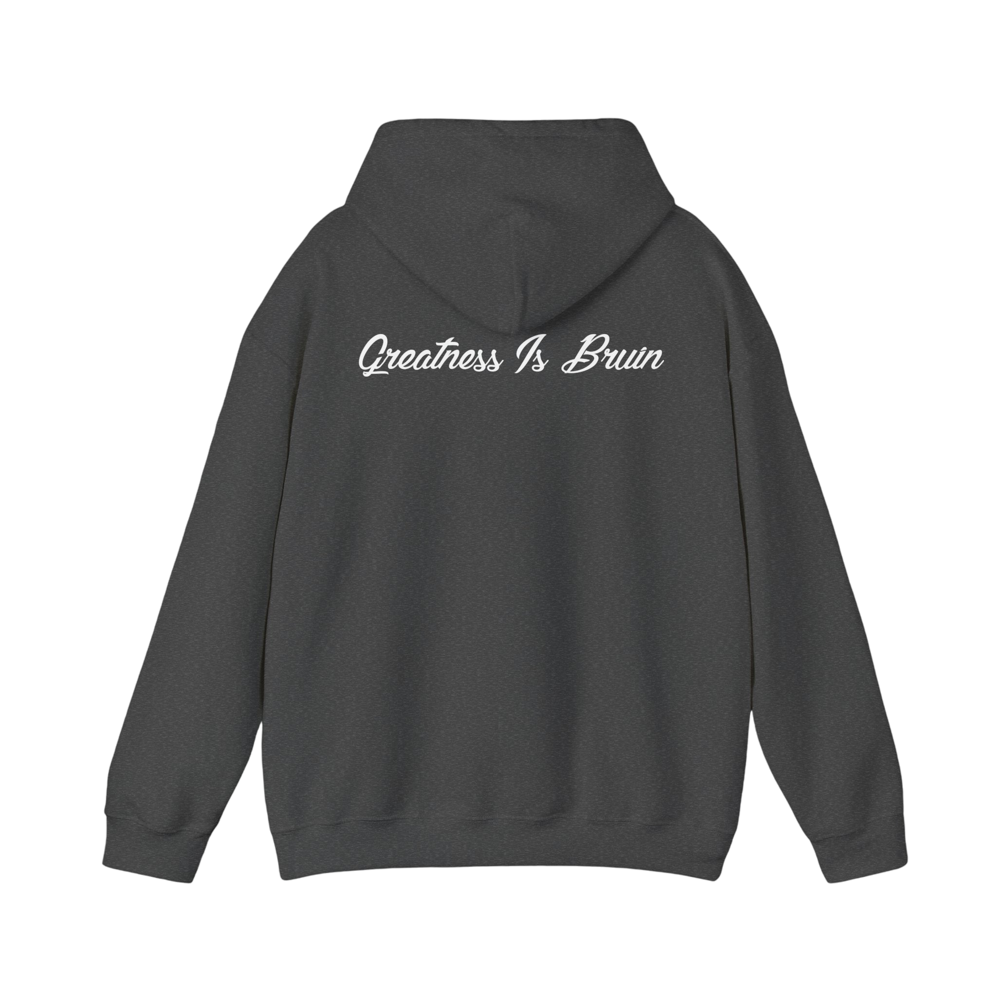 Bruin Hoodie