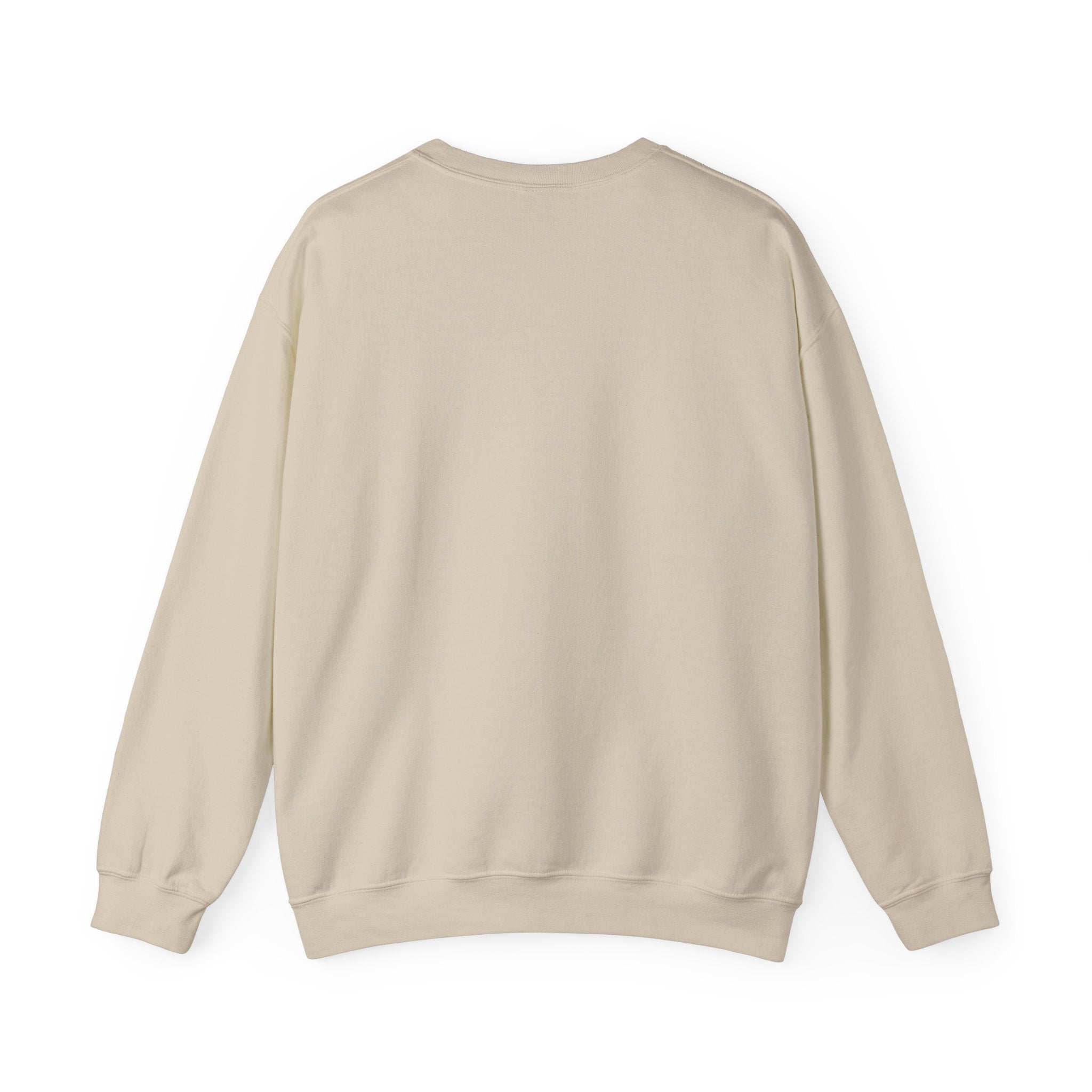 F Around Find Out Sweatshirt