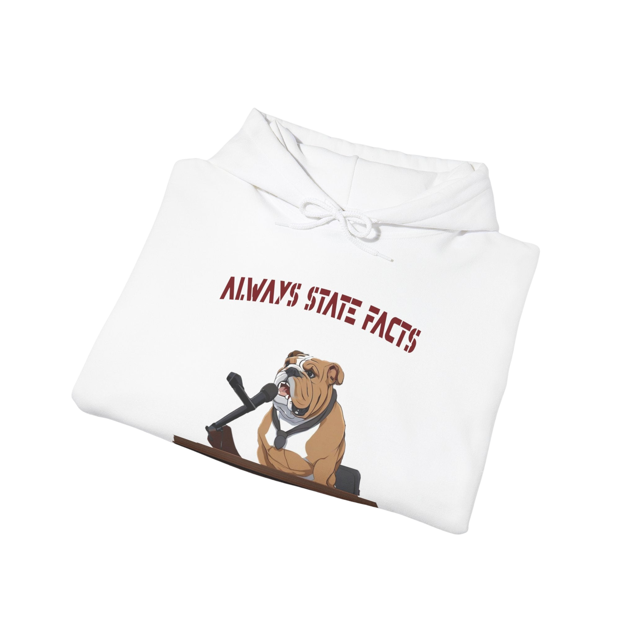 State Facts Hoodie