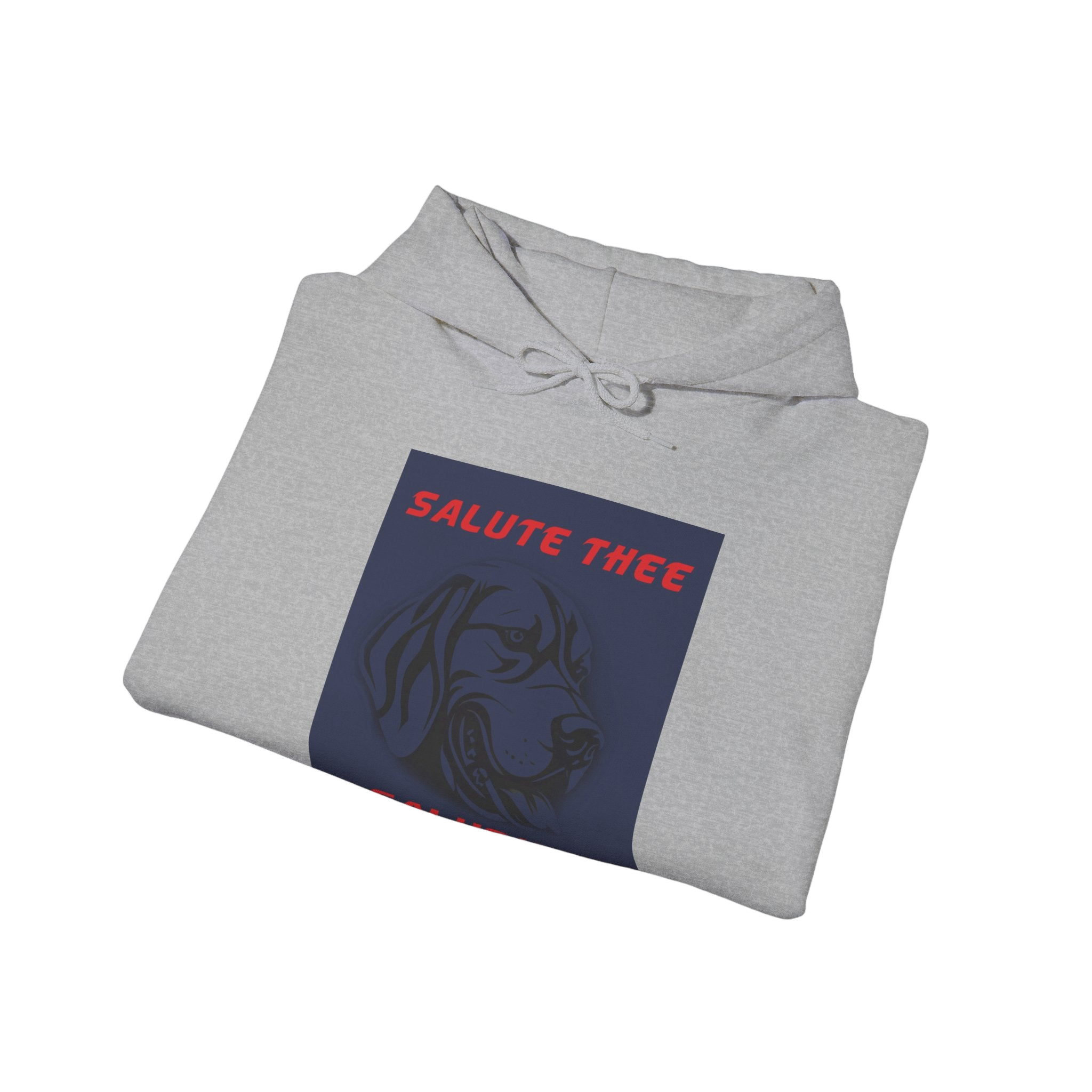 Saluqis Hoodie