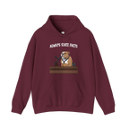 State Facts Hoodie