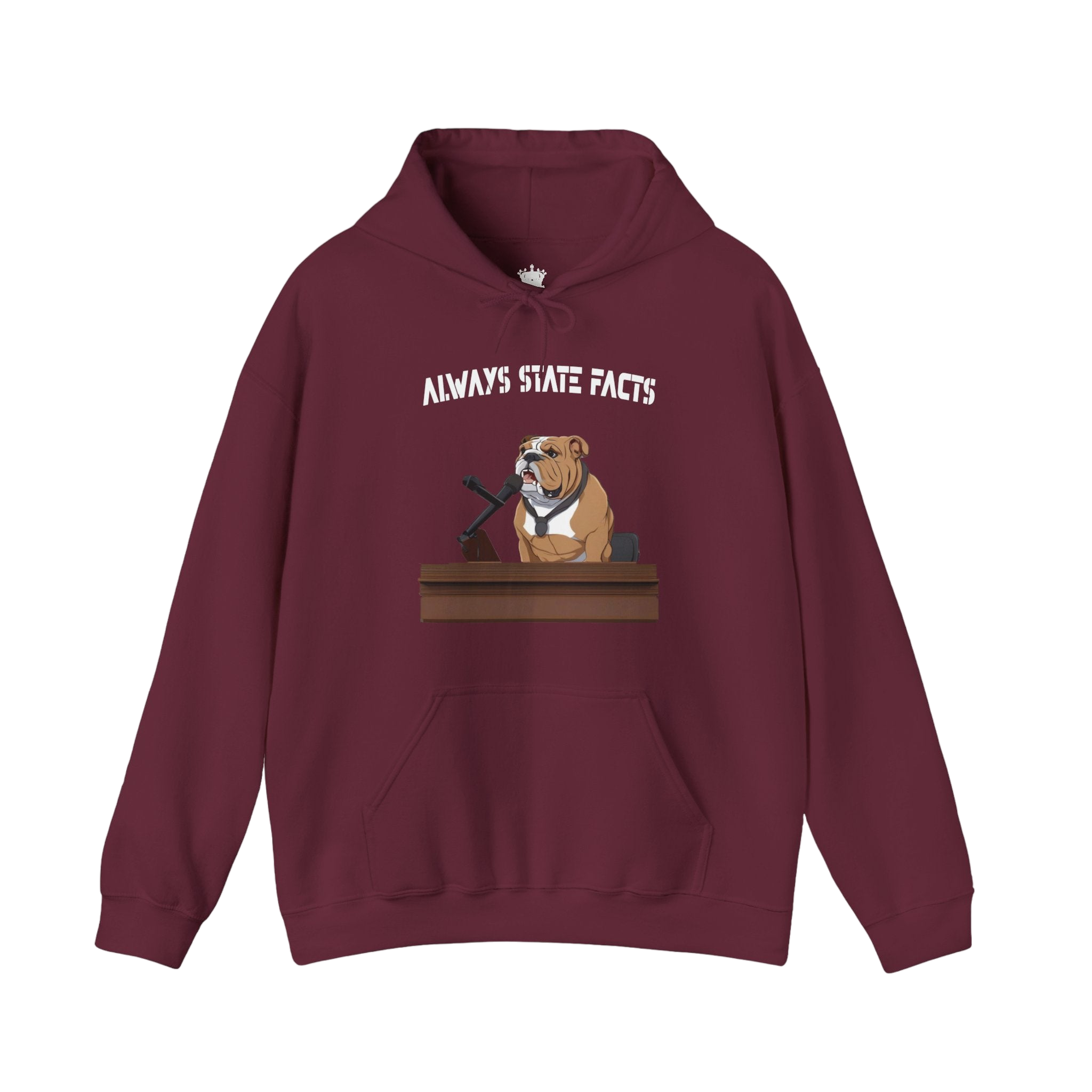 State Facts Hoodie