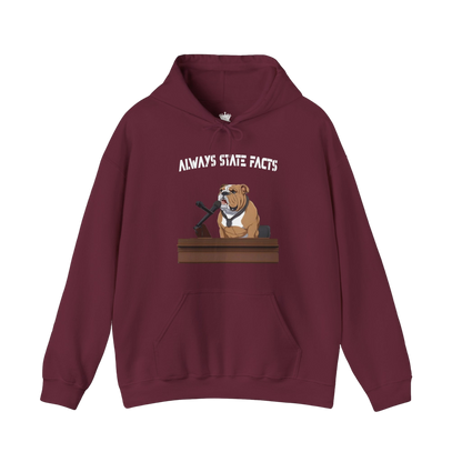 State Facts Hoodie