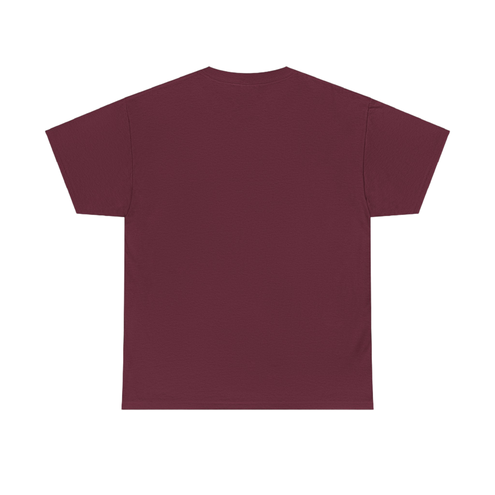 State Facts Tee