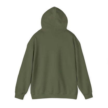 Time 2 Shine Hoodie