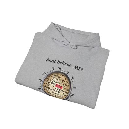 F Around Find Out Hoodie