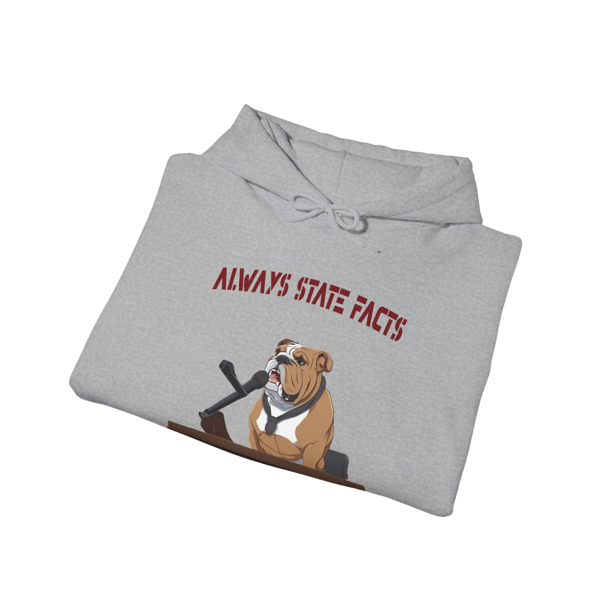 State Facts Hoodie