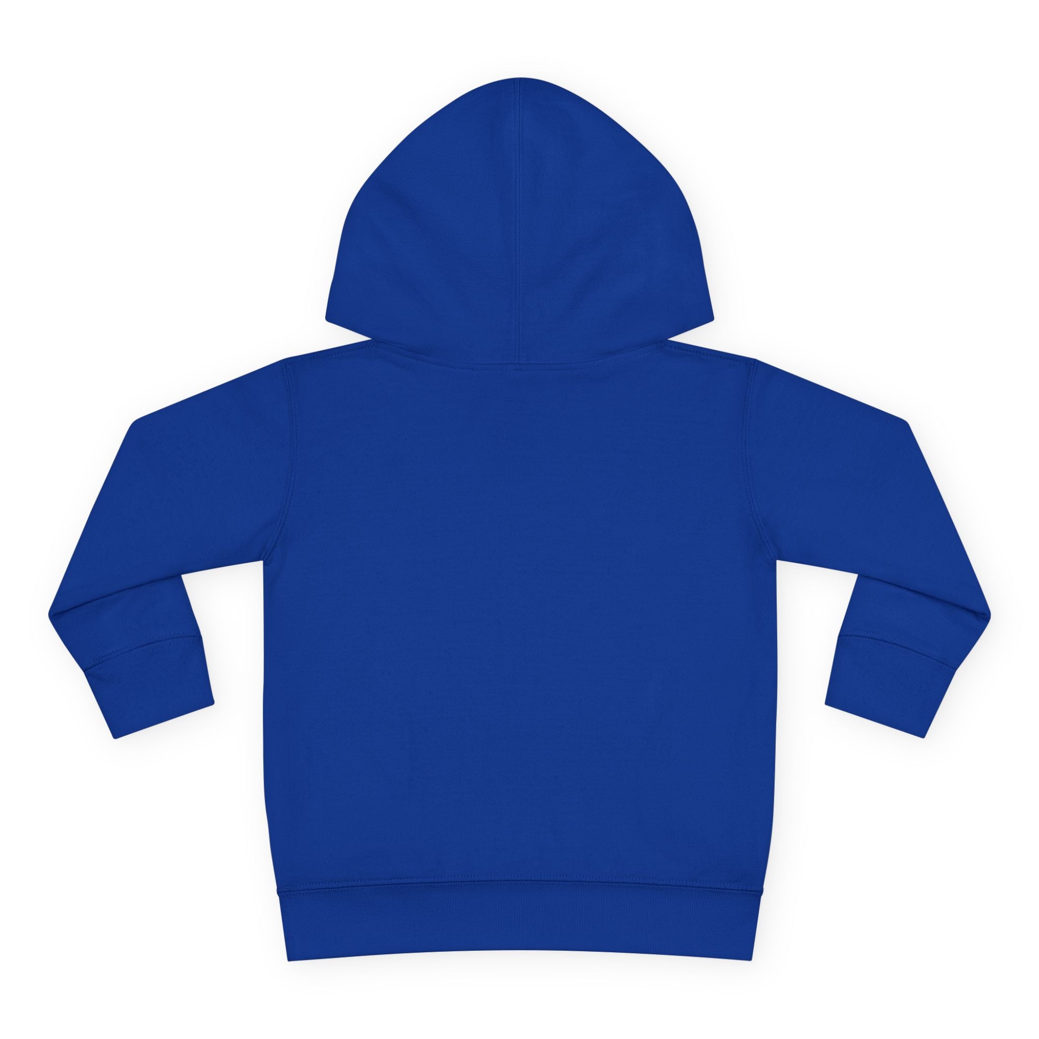 Pacifire Toddler Pullover Hoodie