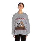 State Facts Sweatshirt