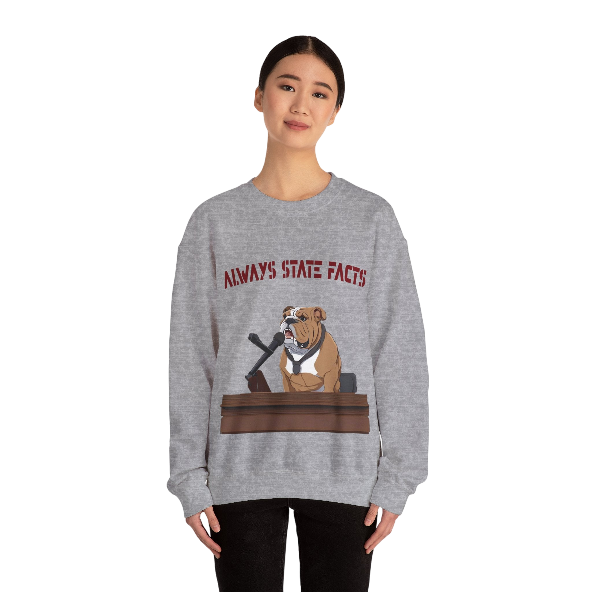 State Facts Sweatshirt