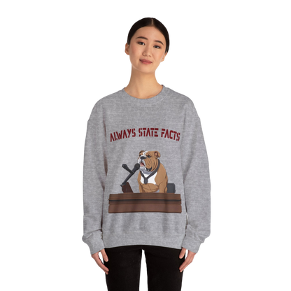 State Facts Sweatshirt