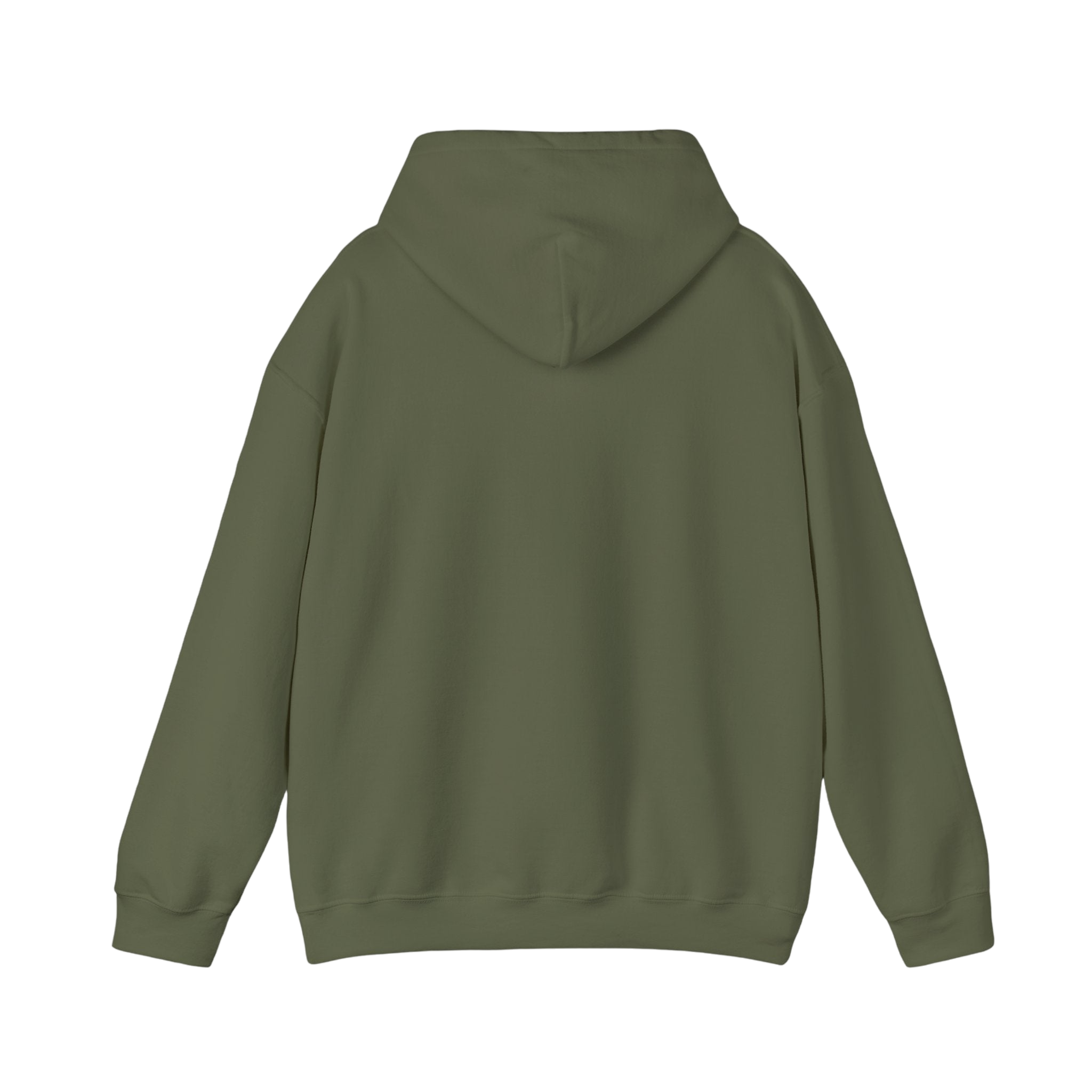 F Around Find Out Hoodie