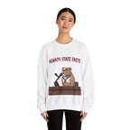 State Facts Sweatshirt