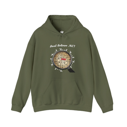 F Around Find Out Hoodie