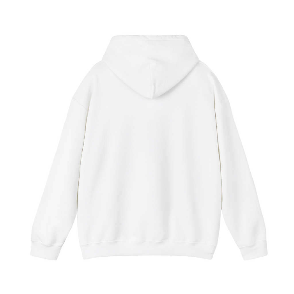 State Facts Hoodie