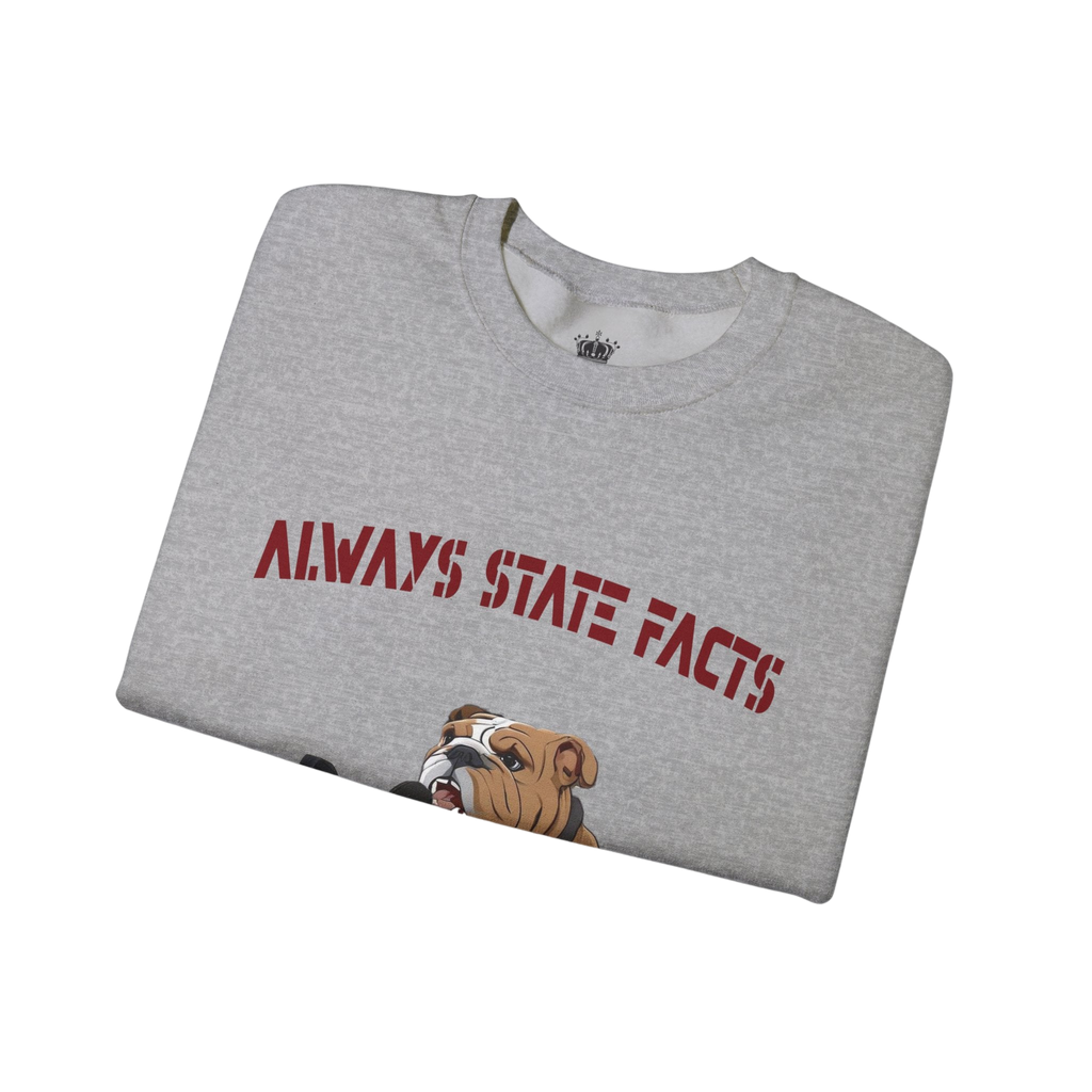State Facts Sweatshirt