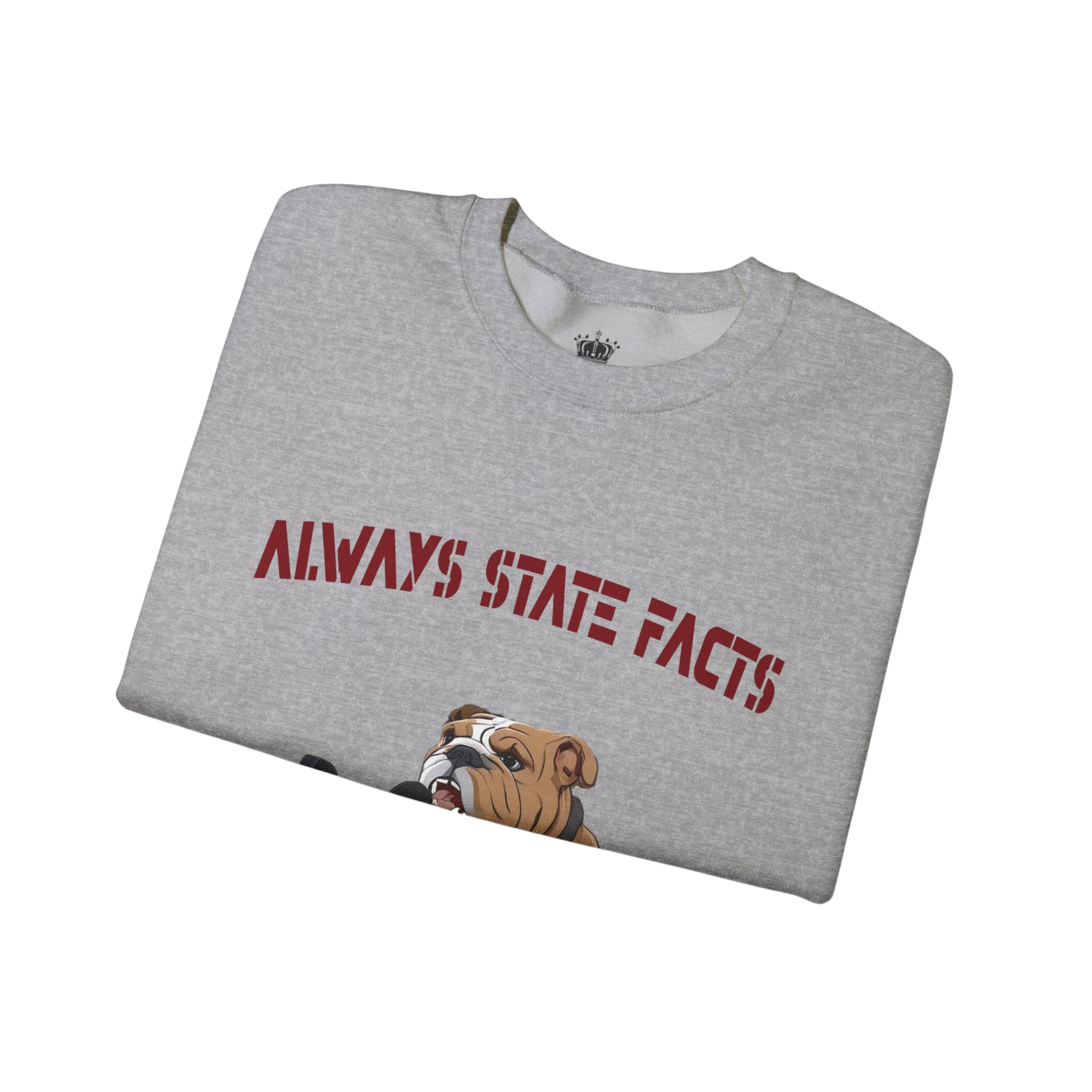 State Facts Sweatshirt