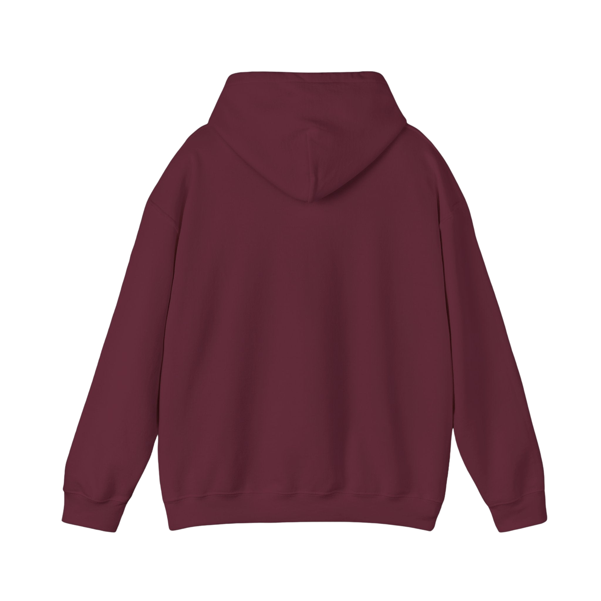 Time 2 Shine Hoodie